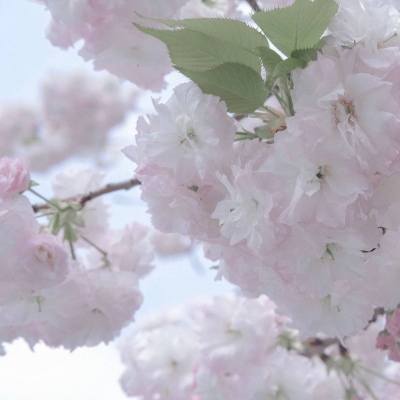 吴中FurryQQ群介绍